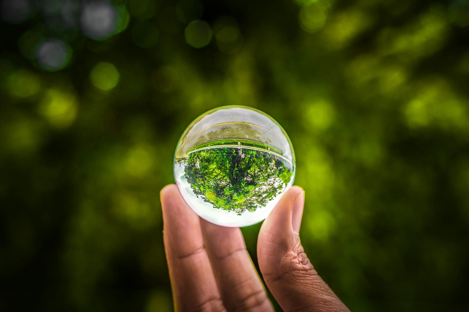 pao-dayag-54fhWCTRrrE-unsplash